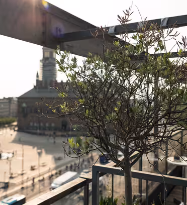 En solbelyst balkon med udsigt over et livligt bytorv. Et sparsomt træ i en plantekasse er i forgrunden, mens historiske murstensbygninger, inklusive en med et højt spir, er synlige i baggrunden under en delvist overskyet himmel.