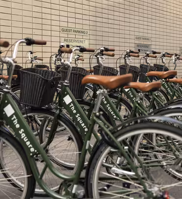 Rækker af grønne lejecykler med kurve er stillet pænt op ad en flisebelagt væg, mærket "Gæsteparkering". Hver cykel har "The Square" skrevet på stellet.