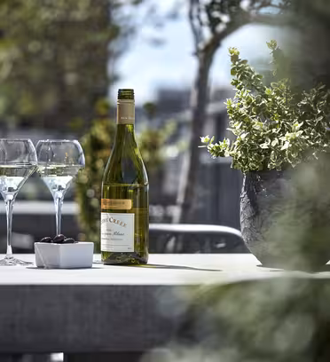 En flaske hvidvin på et gråt bord med to fyldte glas og en lille skål oliven. Grønne omgivelser omgiver de udendørs omgivelser og skaber en afslappet atmosfære på en solskinsdag.