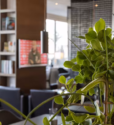 Nærbillede af grønne indendørs planter i et moderne loungeområde. I baggrunden er der et sløret billede af stole, hylder med bøger og et vægmonteret tv, der viser en rød og grå skærm. Blød belysning og store vinduespartier skaber en indbydende atmosfære.